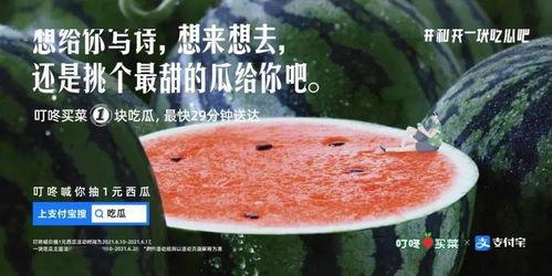 娱乐吃瓜文案啊,吃瓜群众必备的幕后花絮大汇总